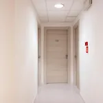 Ξενοδοχείο De Plam Όλμπια