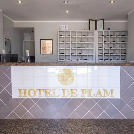 De Plam فندق
