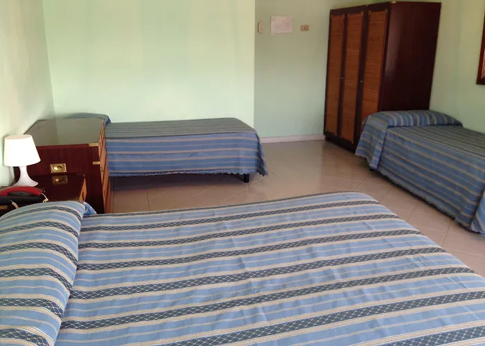 De Plam Ольбія